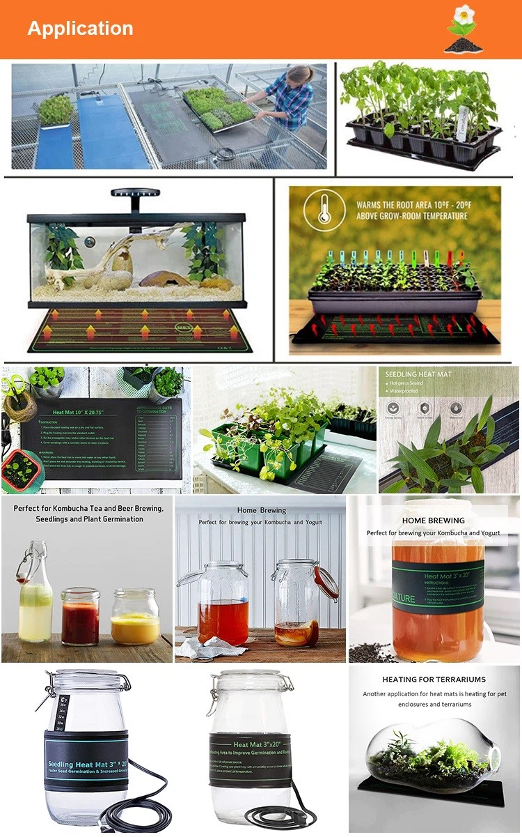 Application Application