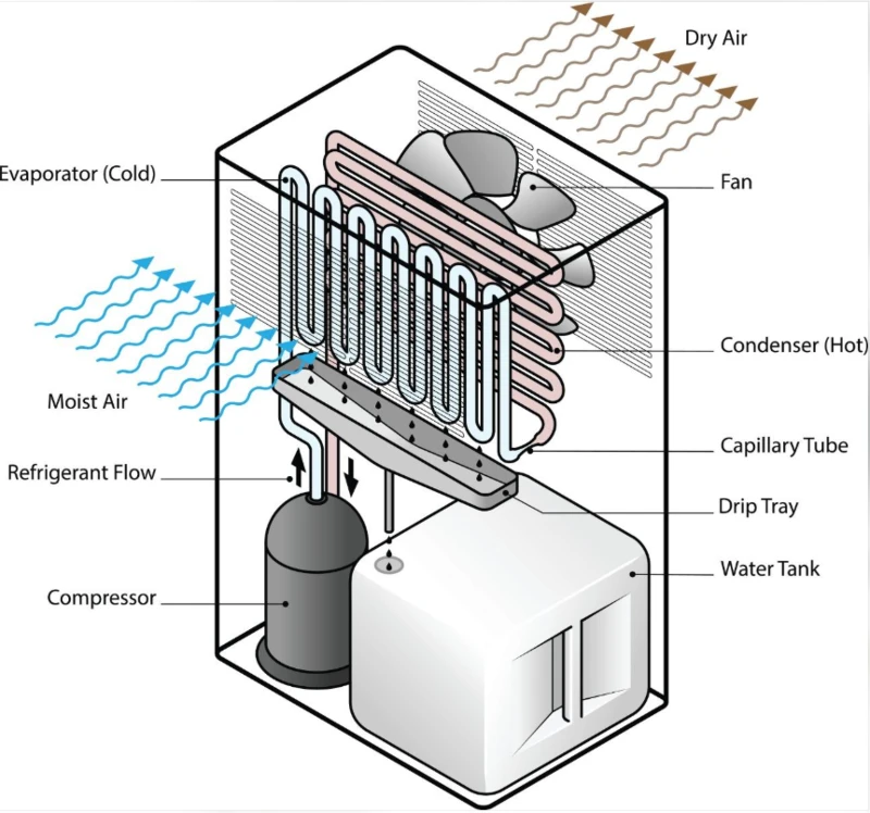 dehumidifier dehumidifier
